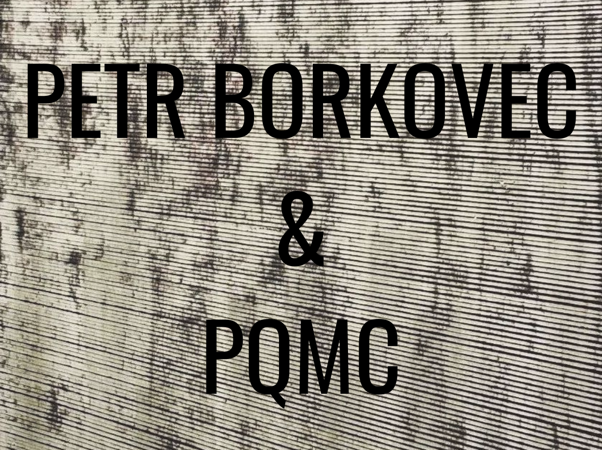 Petr Borkovec a PQMC